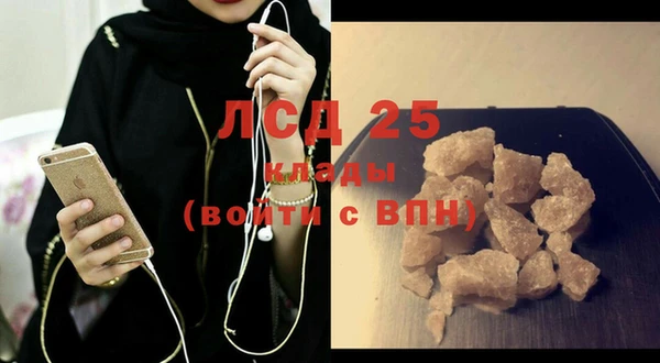 крисы Елабуга