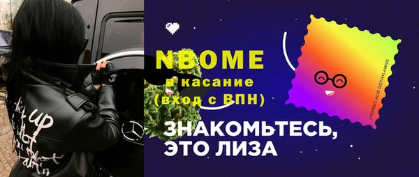 крисы Елабуга
