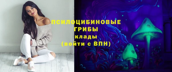 винт Дмитров