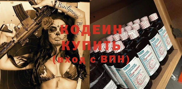 крисы Елабуга