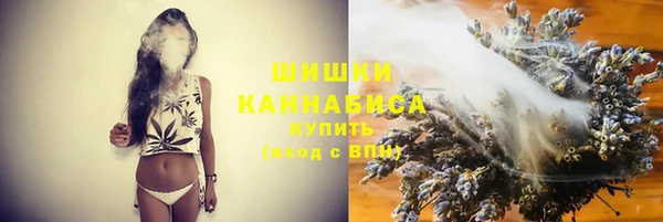 крисы Елабуга