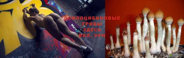 винт Дмитров