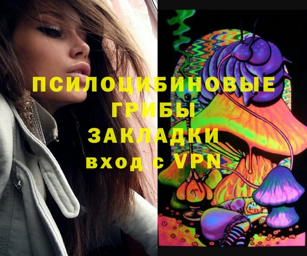 Альфа ПВП Дмитровск
