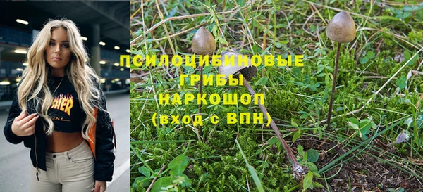 Альфа ПВП Дмитровск