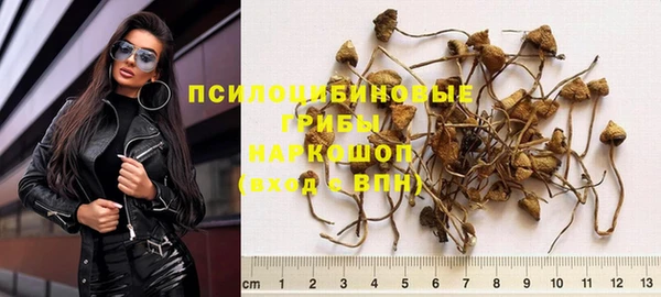 винт Дмитров