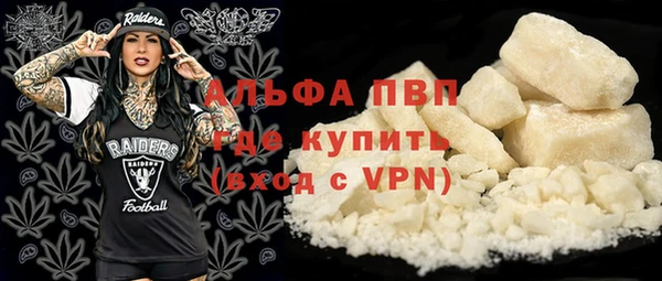 винт Дмитров
