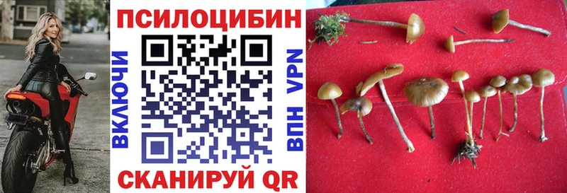 Псилоцибиновые грибы мухоморы  Купить  Нюрба 